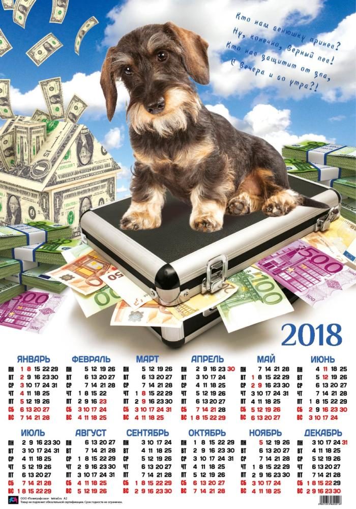 Календарь А2  Терьер на деньгах  уп.100шт