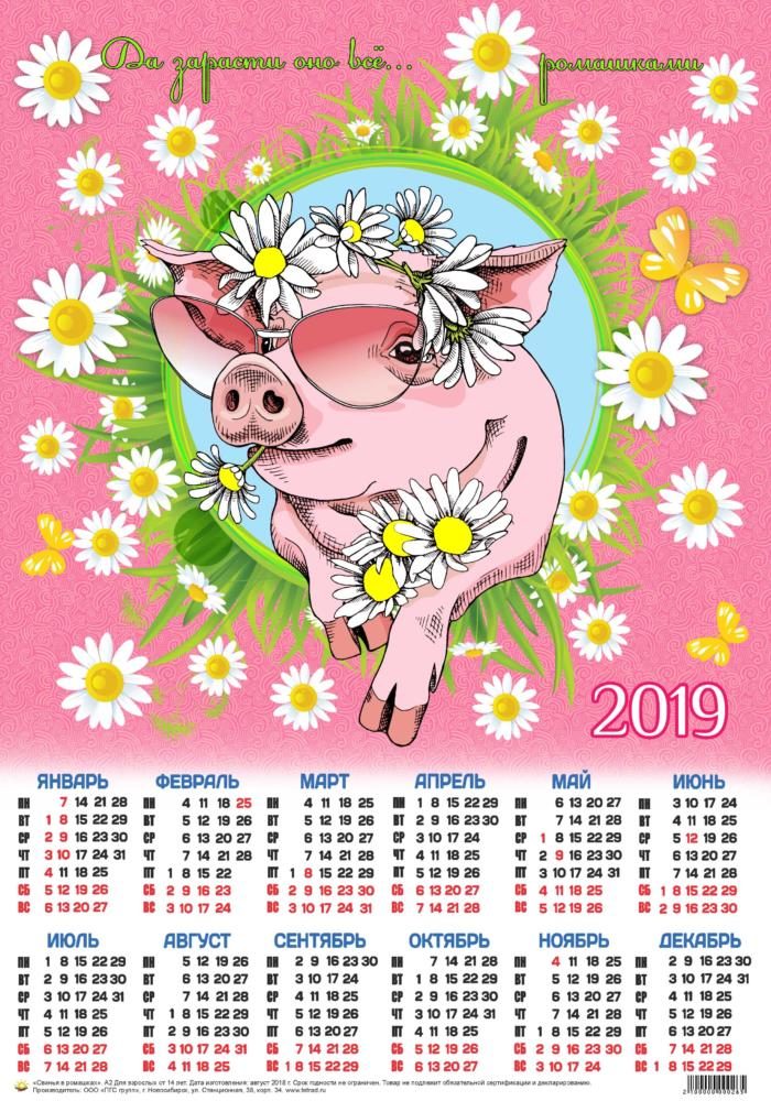 Календарь А2 Свинка в ромашках.  уп.100шт