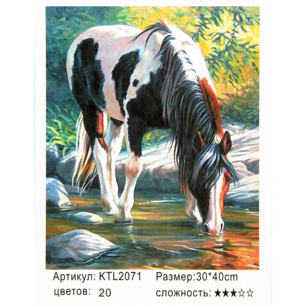 Рисование по номерам 30*40 Лошадь KTL2071 уп.1/30 арт.R-449 (171019)