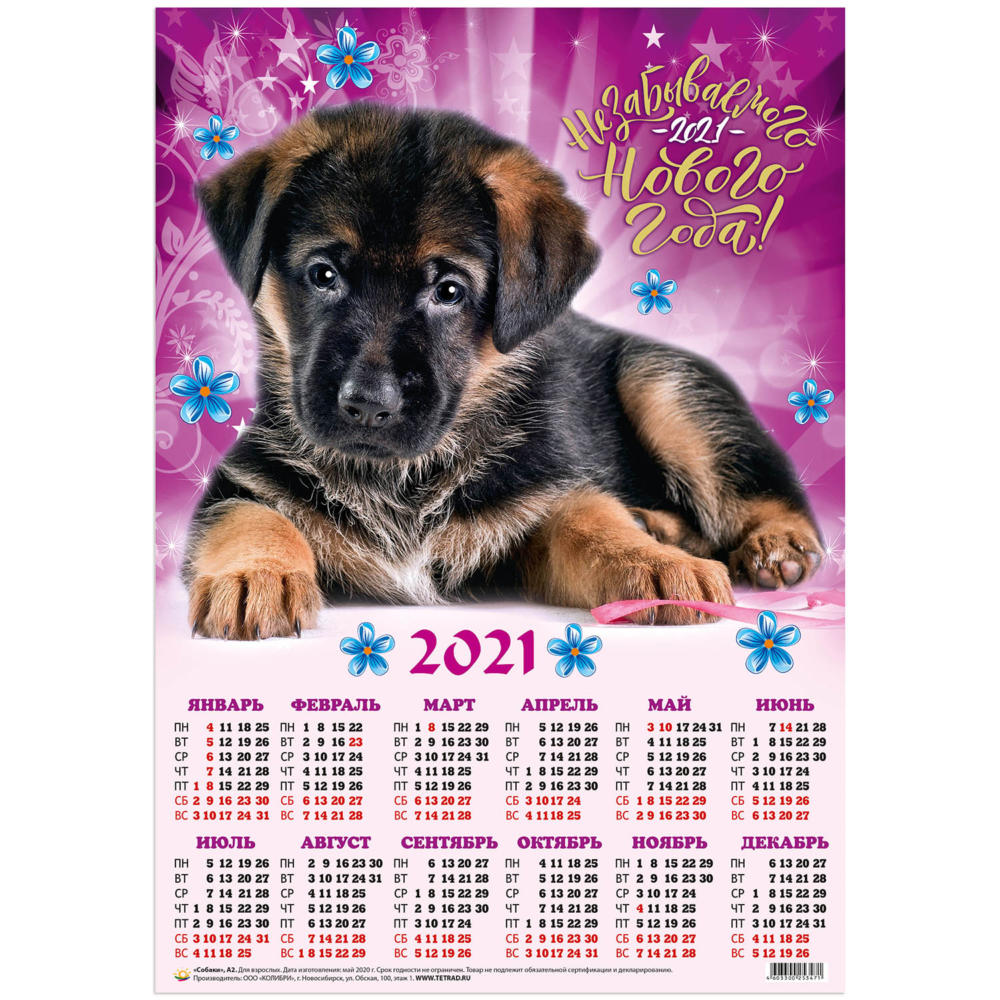 График года собаки. Календарь собака. Календарики с собачками. Календарь 2021 с собаками. Календарь 2022 с собаками.