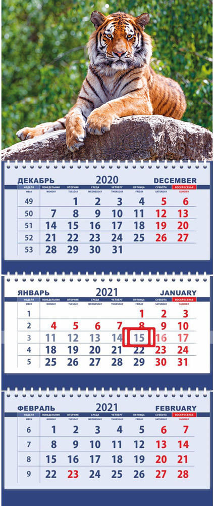 Квартальный календарь трехблочный 2022. Год Тигра.Рыжий тигр на камне