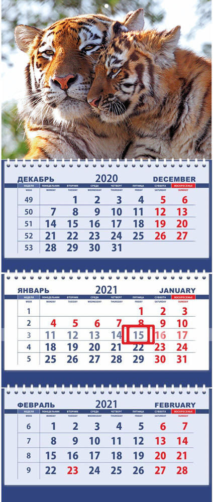 Квартальный календарь трехблочный 2022. Год Тигра.Рыжая тигрица с тигренком