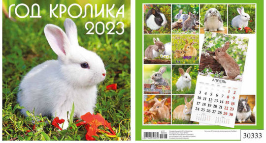 Перекидной календарь 2023 24х24. 12листов Год кролика 4 уп.50шт