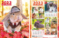 Перекидной календарь 2023 24х30 6 листов Год кролика 1 уп.25шт